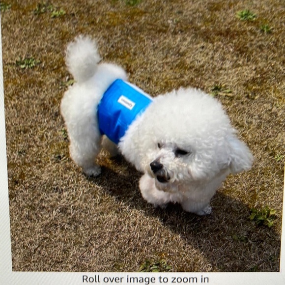 Vecomfy Belly Bands for Male Dogs Diapers Belly Wraps (5 Pack) - Picture 4 of 7